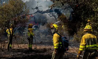 El fuego quema una zona de pasto en los entornos de la N-620 y la A-62 en Valdecarpinteros | Vicente | ICAL
