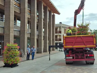 Flores en Carbajosa de la Sagrada