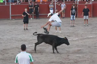 Las vaquillas hacen las delicias de los asistentes en Santa Marta de Tormes