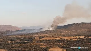 Incendio en Nava de Béjar