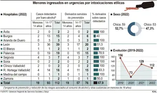 FS Menores ingresados por intoxicaciones etílicas en CyL / ICAL