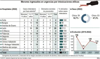 FS Menores ingresados por intoxicaciones etílicas en CyL / ICAL