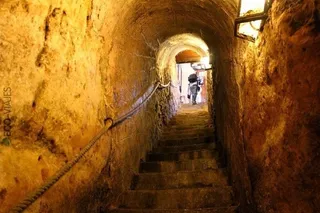 bodegas