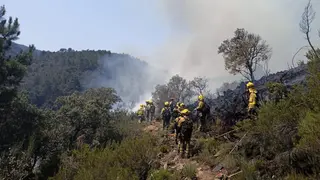 Bomberos trabajando en el incendio forestal en Monsagro 