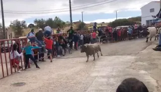 Pereña disfruta del encierro matinal por sus fiestas