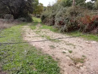 Cable internet arribes