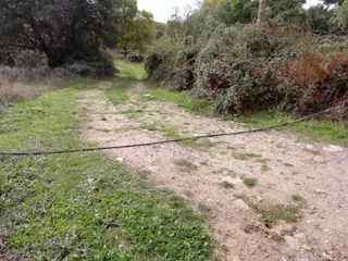 Cable internet arribes