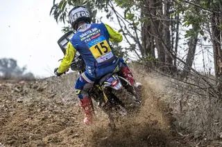 Lorenzo Santolino
