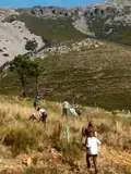 Monsagro da un nuevo paso en la recuperación de sus montes quemados