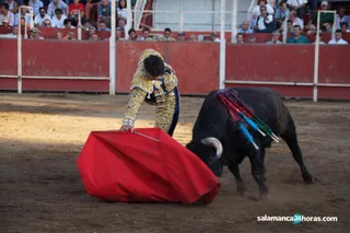 Novillada picada de Tamames (107)