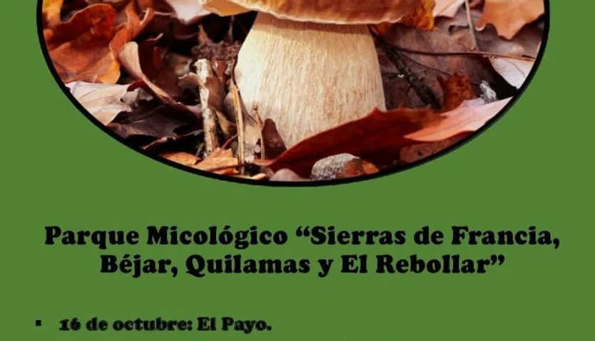 Cartel Parque