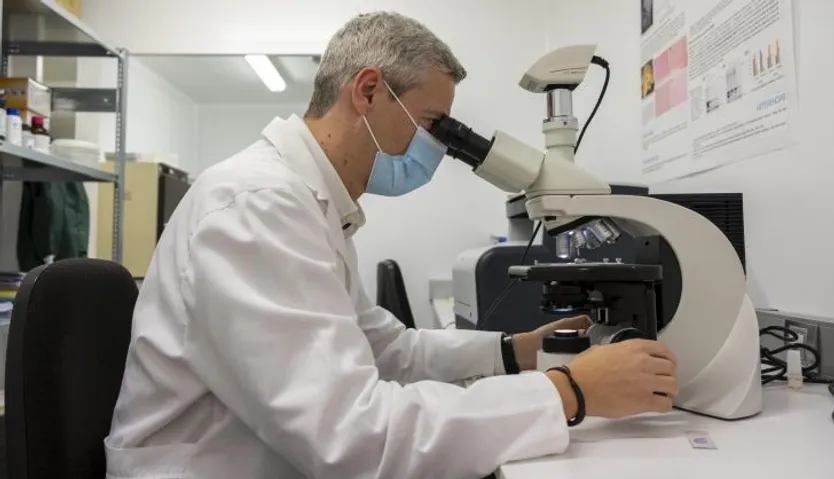 El banco de cerebros de Castilla y León está ubicado en el Incyl, en la universidad de Salamanca. Javier Herrero es el científico que lo dirige y se ocupa de su gestión. Foto ICAL (7)