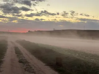 Pequeña 'tormenta de arena' en La Armuña