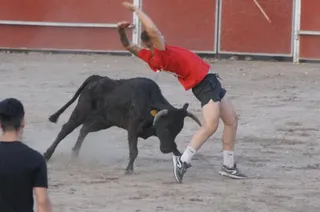 Las vaquillas hacen las delicias de los asistentes en Santa Marta de Tormes