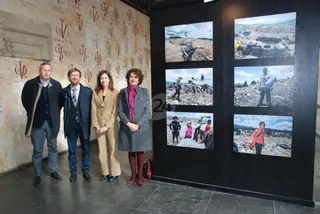 Exposición Transversalidades.