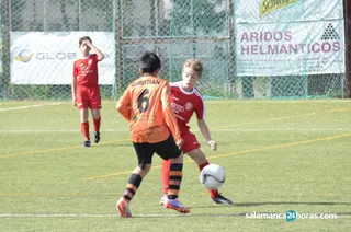 DSC0091 1200x795