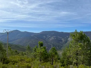 Paso de los lobos hacia Monsagro (14)