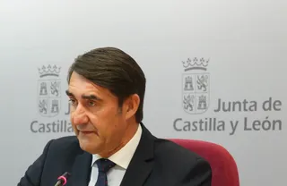 Suárez-Quiñones