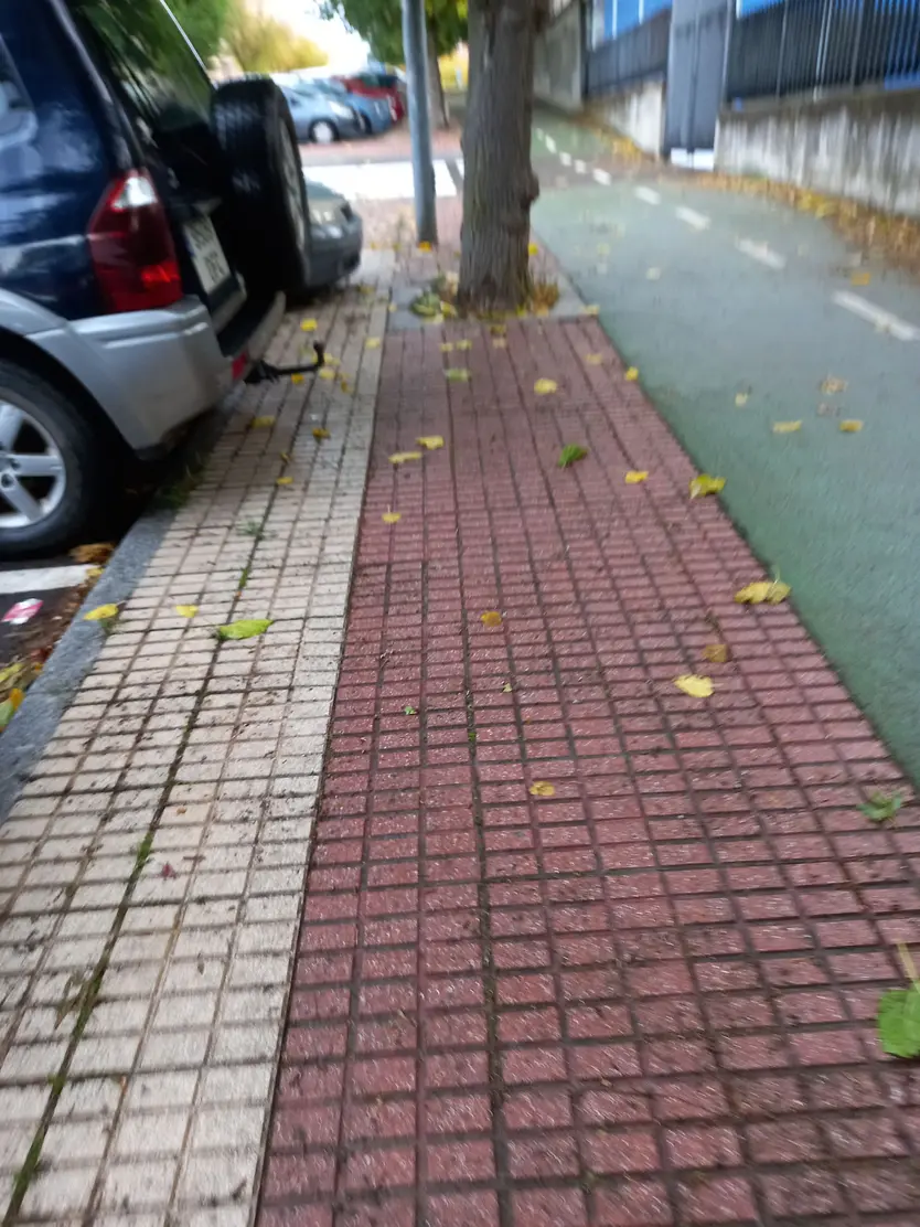 Paseo Francisco Tomás y Valiente 2