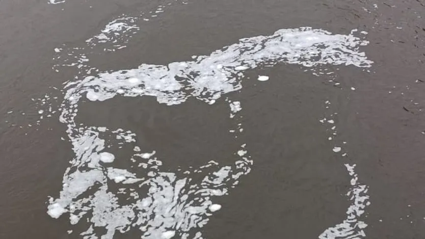 Un extraño vertido en el río Tormes pone en alerta a los salmantinos