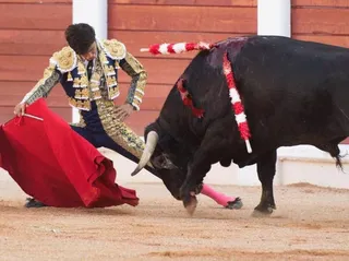 Novillero salmantino Manuel Diosleguarde. FOTO Facebook