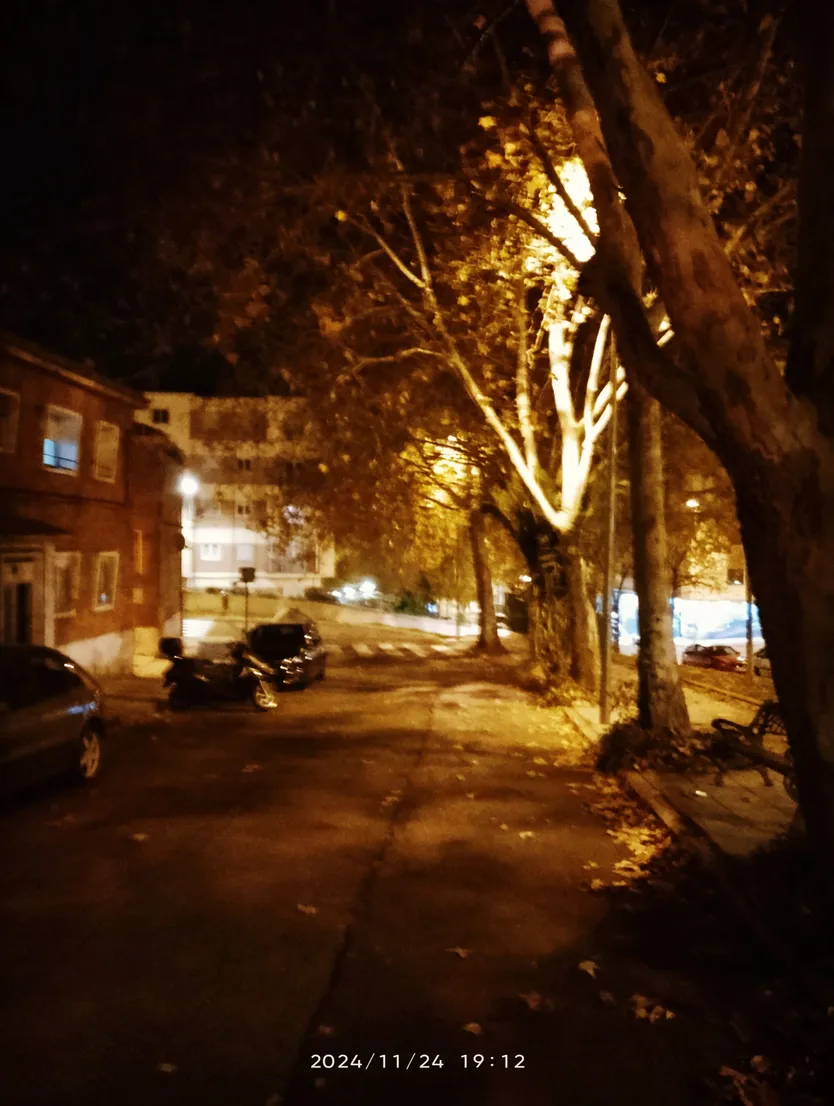 Quejas entre los vecinos de la calle Castañar por no podar los árboles que atascan canalones y provocan humedades