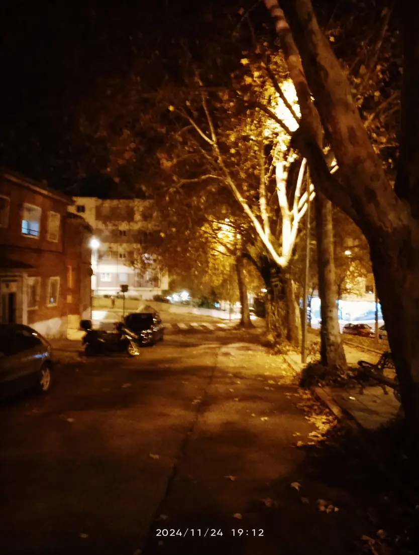 Quejas entre los vecinos de la calle Castañar por no podar los árboles que atascan canalones y provocan humedades