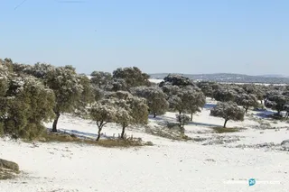 Nieve Sierra de Francia (15)