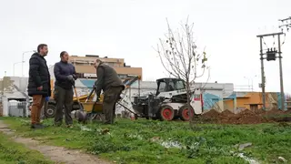 Santa Marta ofrece formación gratuita para desempleados en jardinería y zonas verdes