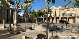 Macotera recauda 333 euros con el mercadillo de libros solidario