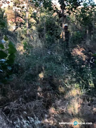 Incendio forestal alba (1)