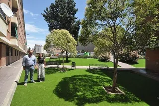 La plaza de Buenavista renueva su imagen con 1.300 metros de césped artificial