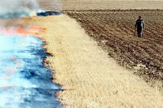 La Junta iniciará en octubre la quema controlada de cunetas contra los topillos