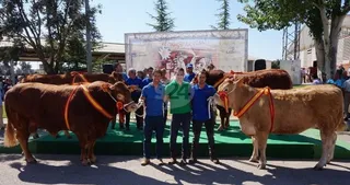 Una exposición de ganado puro que marca la diferencia