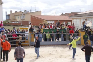 Toro de San Marcos