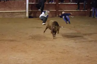 Capea de Sábado tarde en el Carnaval del Toro de Ciudad Rodrigo | Mateo G.J.