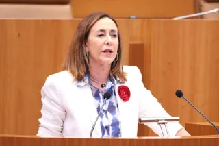 Rosa Rubio en las Cortes
