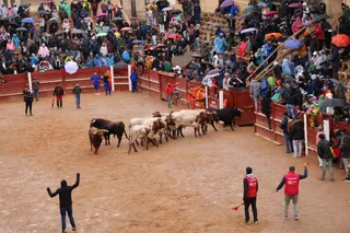 Desencierro del domingo de Carnaval