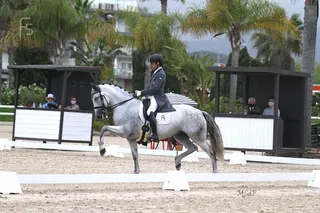 joya fs gran premio cto españa absoluto arroyomonte 01