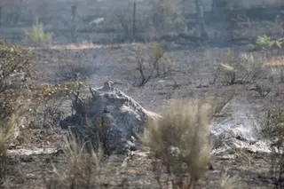 Así han quedado las zonas quemadas durante el incendio de Cipérez | Belén Hurtado