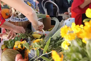 Miembros de la Corporación Municipal participan en la apertura de la Lonja de los Huertos Urbanos