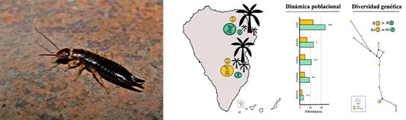 La Universidad de Salamanca participa en un estudio que analiza el impacto del cultivo de plátanos en insectos beneficiosos