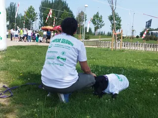 II Marcha Solidaria Fundación AFIM