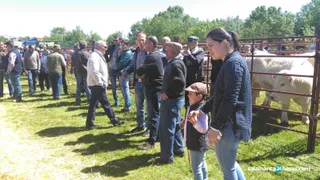 Feria Agroalimentaria Lumbrales (40)