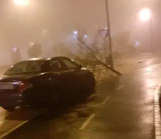 Accidente en Salas Bajas, golpe contra un árbol. Foto SALAMANCA24HORAS