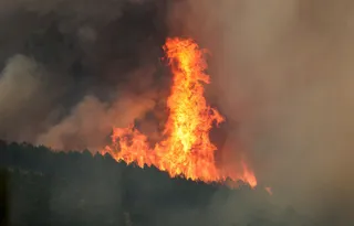 Imagen de archivo de un incendio forestal declarado en Las Hurdes y la Sierra de Gata (Cáceres), muy cerca de la provincia de Salamanca. Vicente / ICAL