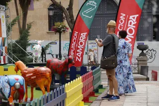 Inauguración de la exposición 'Ovejas Fromago Cheese Experience'