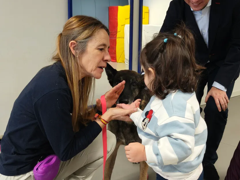 Talleres escolares de tenencia responsable de animales