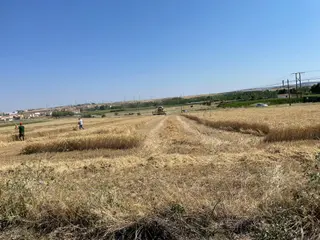 Cosecha de cereales en La Armuña | Imagen de archivo