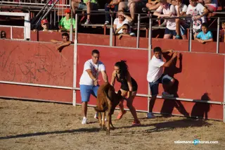 Capea Santa Marta 34